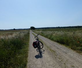 Einsame und ruhige Radwege auf Ihre Radreise in Dänemark
